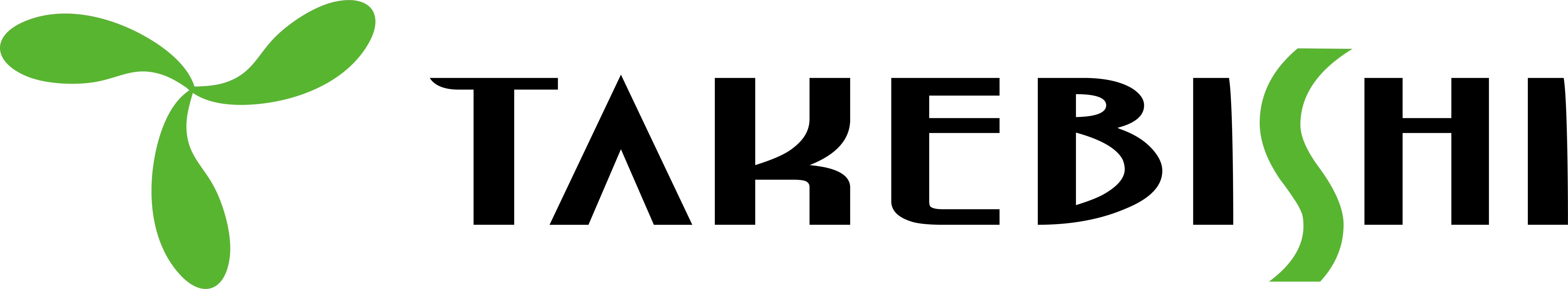 Takebishi Corporation