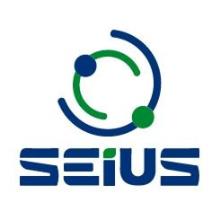SEIUS S.A.