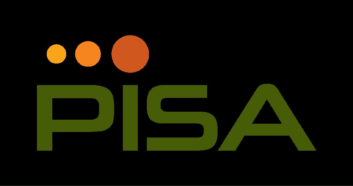 PISA JOINT STOCK COMPANY