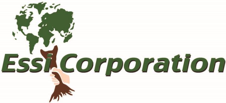 ESSI Corporation