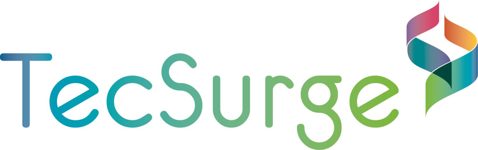 TecSurge Inc