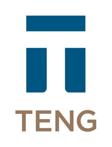 TENG Inc.