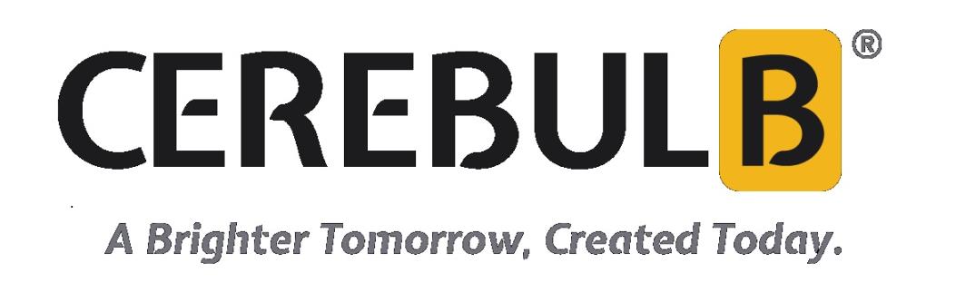 Cerebulb Engineering Solutions