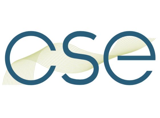 CSE Systems Integrators, Inc.