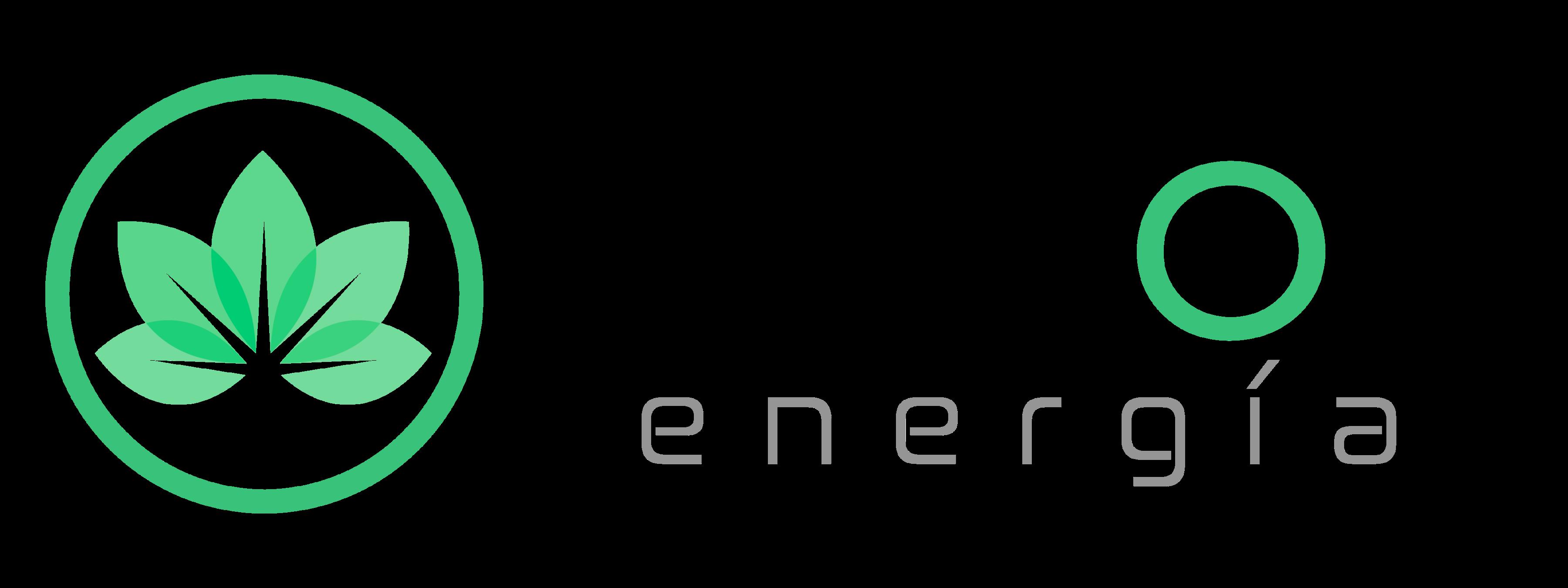 BIGMON ENERGIA, S.L.